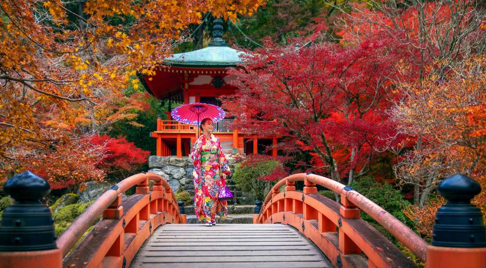 日本文化・伝統芸能