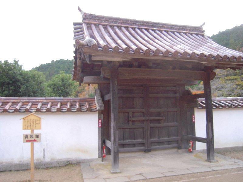 閑谷学校楷の木_3