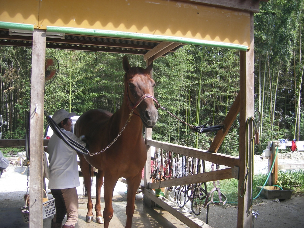 グレース・ライディングクラブ_2