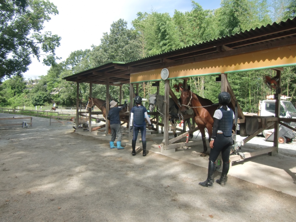 グレース・ライディングクラブ_1