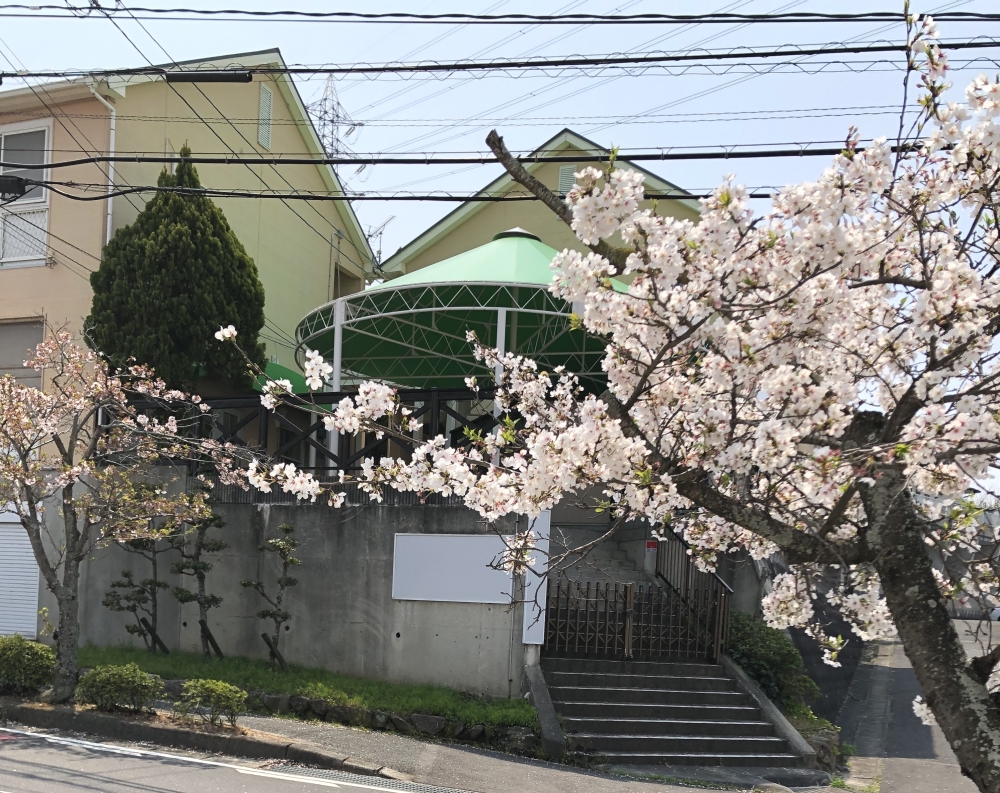 ペットシエルビジネススクール_12