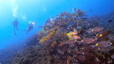 エポックダイブサービス_6