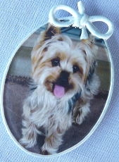 ポーセラーツサロン✻スタジオブルーグラス_15