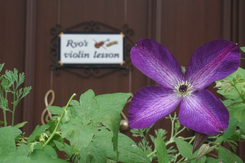 ヴァイオリン教室　Ryo's Violin Lesson_4