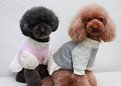 Ｒｅｃｏ・Ｈｏｕｓｅ