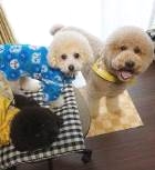 Ｒｅｃｏ・Ｈｏｕｓｅ_2