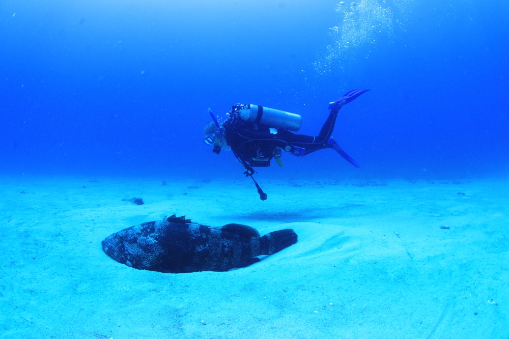 エイエイダイビングショップ