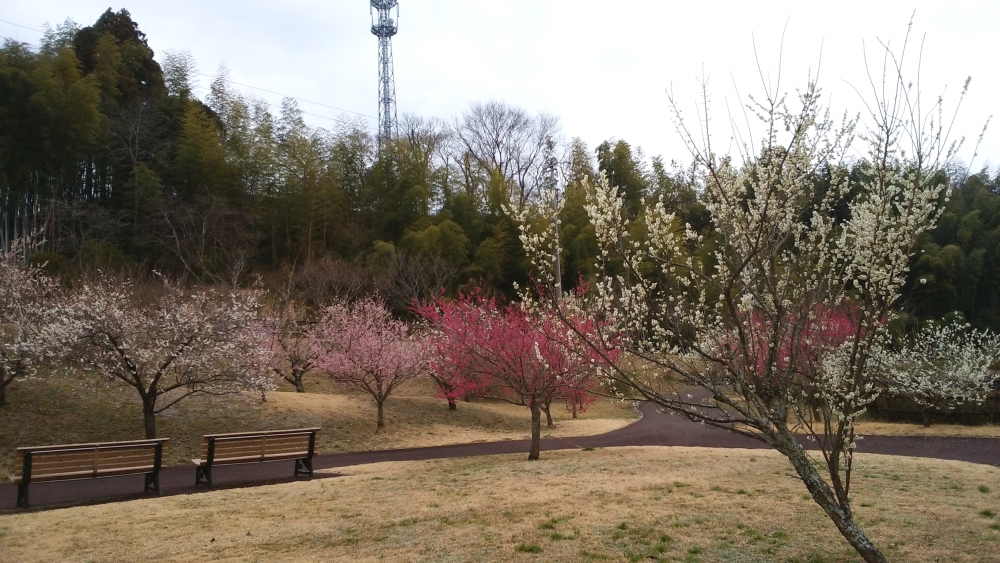 内原野陶芸館_1