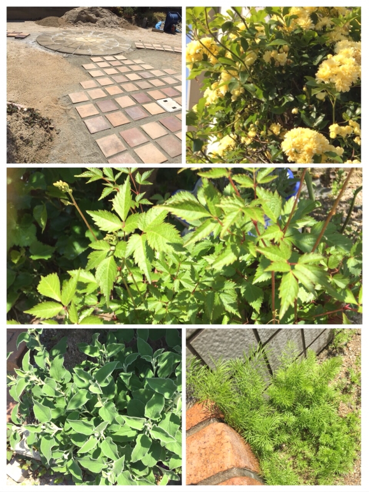 ファミリー英語スタジオ　K. English Garden_6