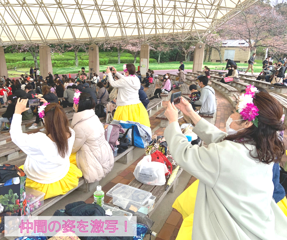 北九州フラダンス教室・アイナフア 【Ainahua】_2