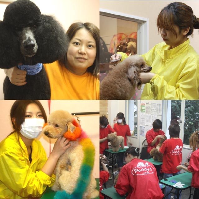 パディアトリミングスクール