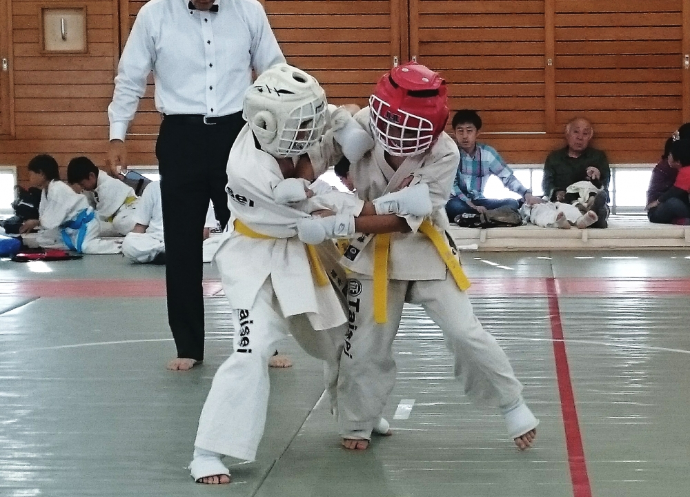 実戦総合空手道  征道Group 大征會 TAISEIKAI