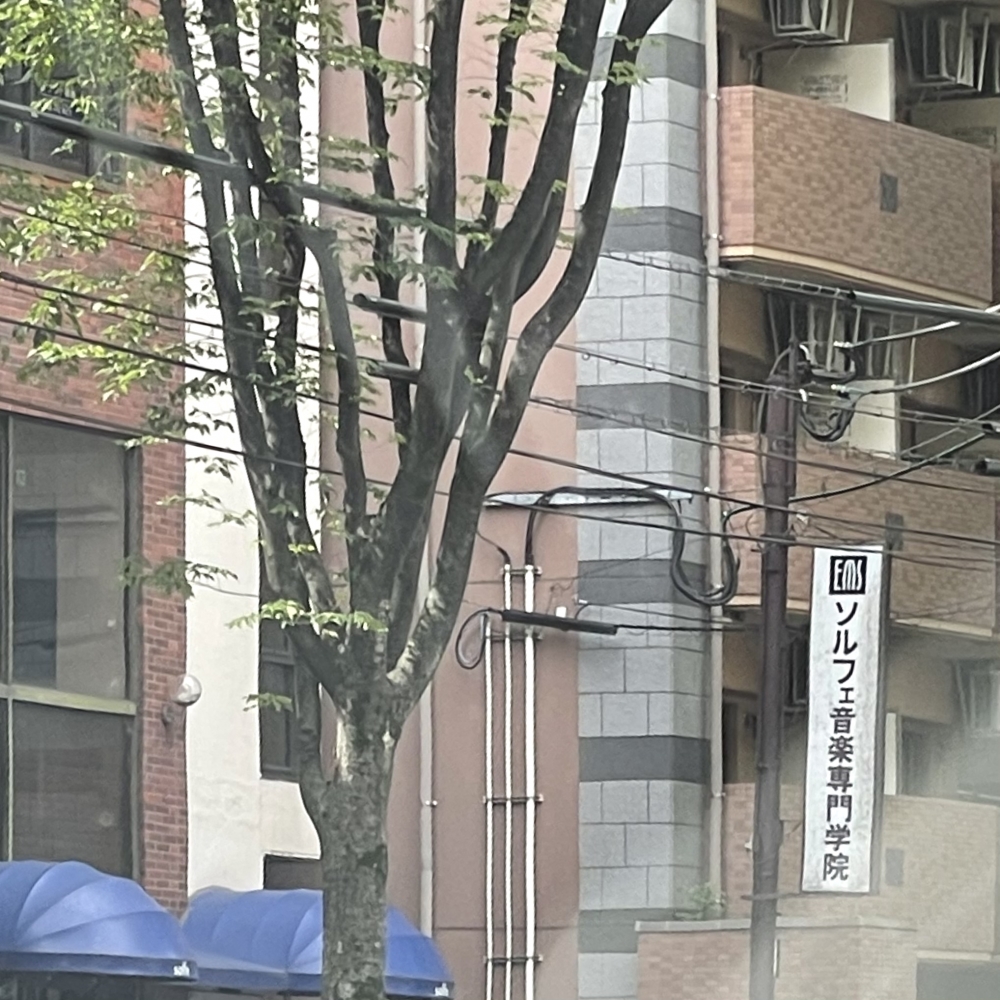 ソルフェ音楽専門学院_2