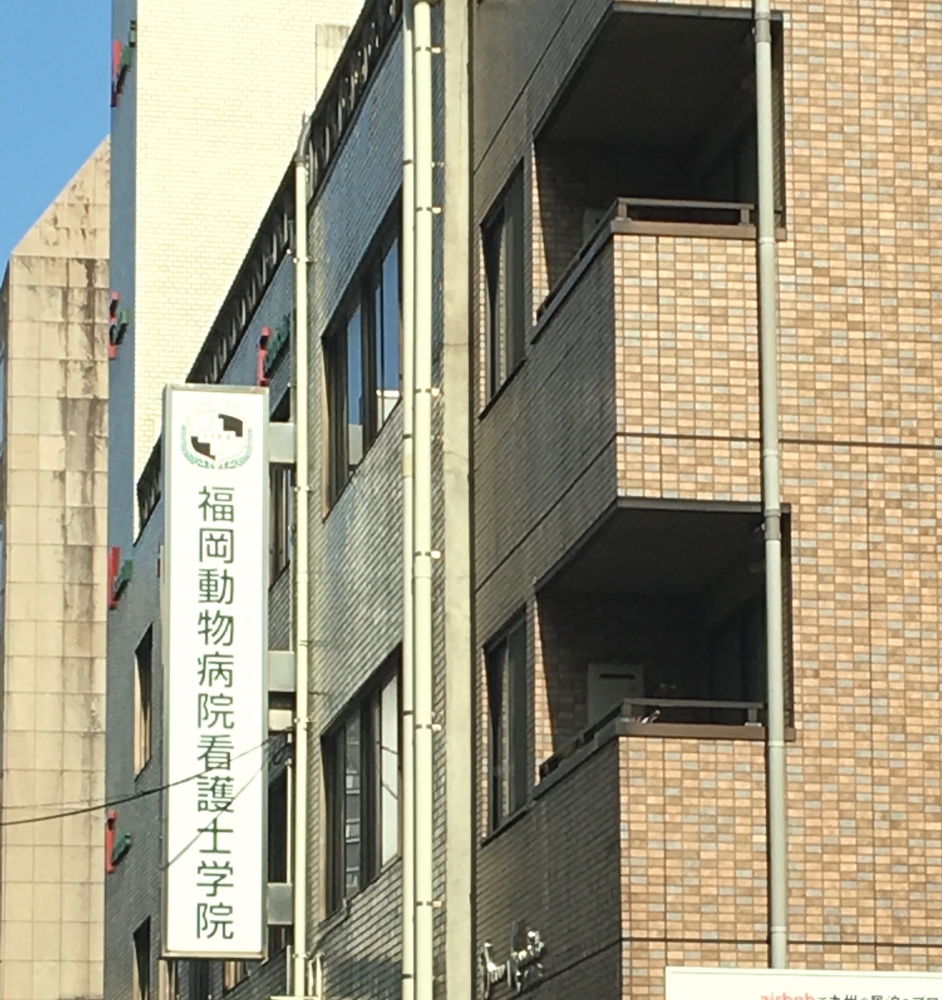 福岡動物病院看護士学院_1