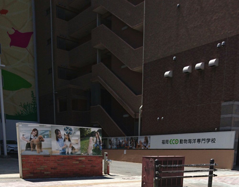福岡ECO動物海洋専門学校_1