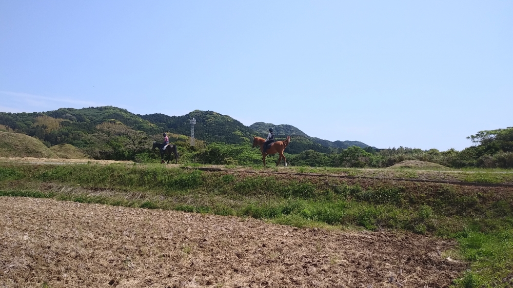 あんらいえんホース_21