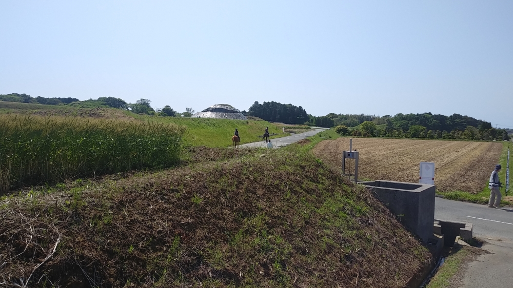 あんらいえんホース_19