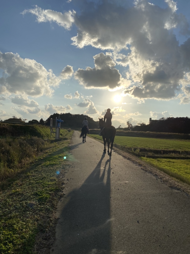 あんらいえんホース_14