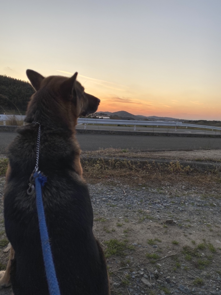 あんらいえんホース_4