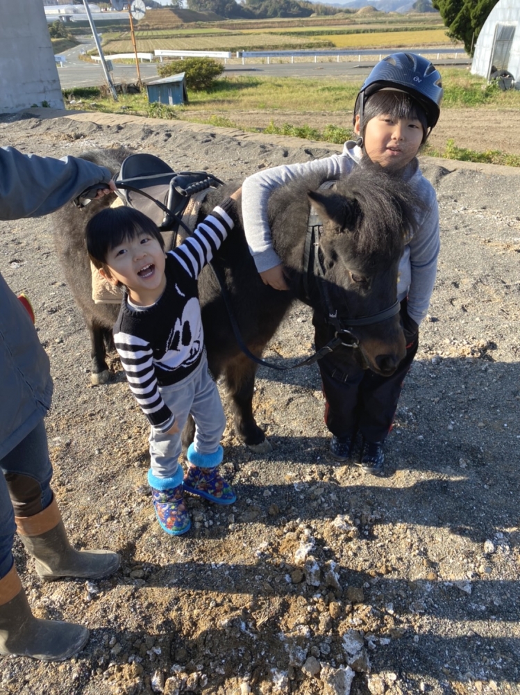 あんらいえんホース_13