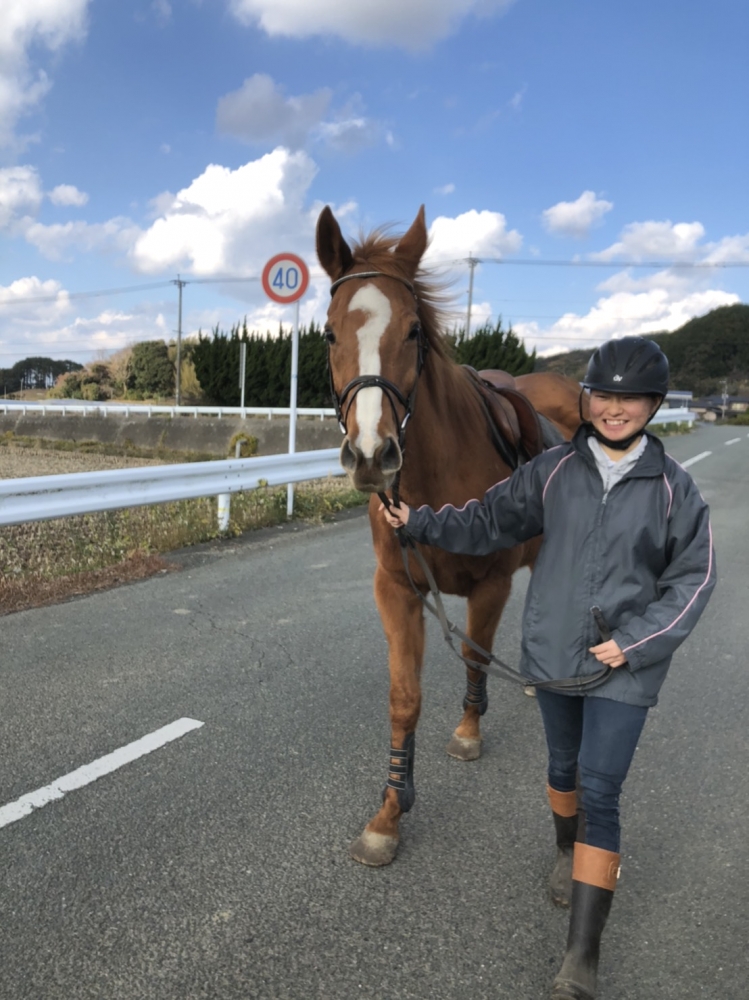 あんらいえんホース_12