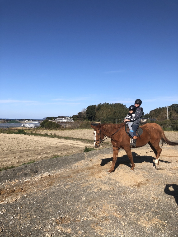 あんらいえんホース_10