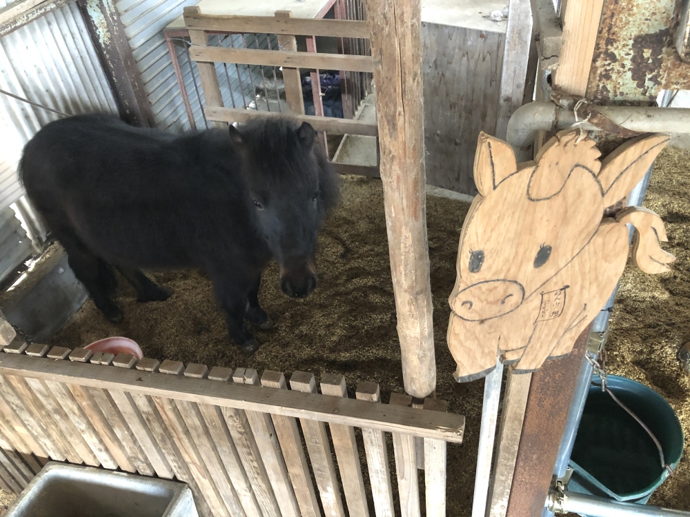 あんらいえんホース_7