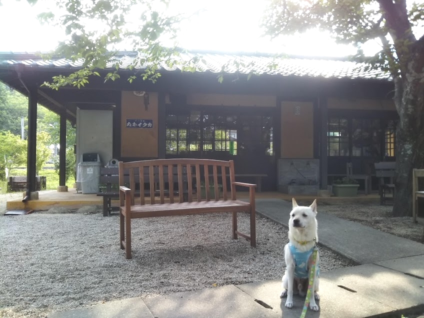 ステンシル教室すてんちぃ_2