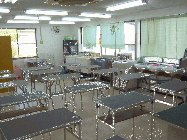 グローバル・グルーミングスクール_1