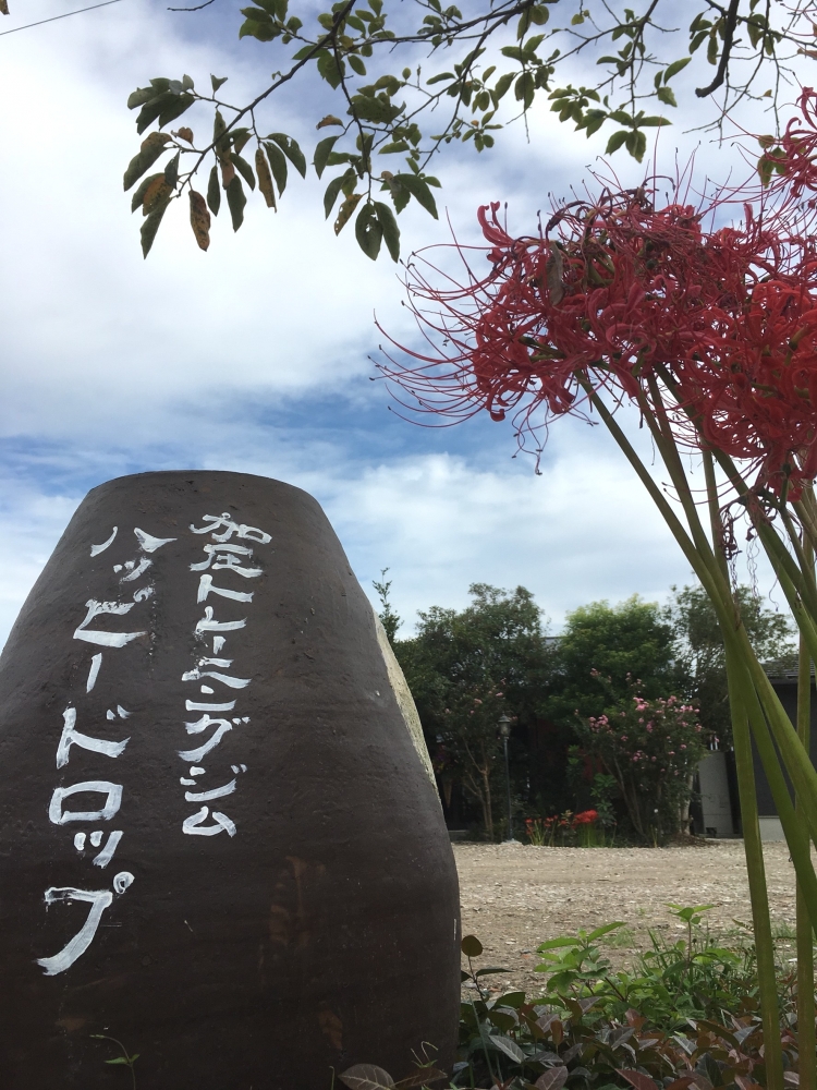 ＨＡＰＰＹＤＲＯＰ_2