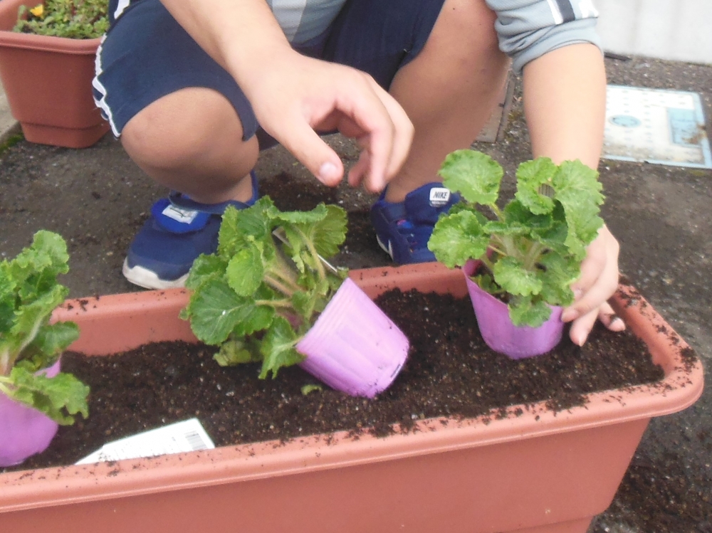 放課後等デイサービス　プロスペール_1