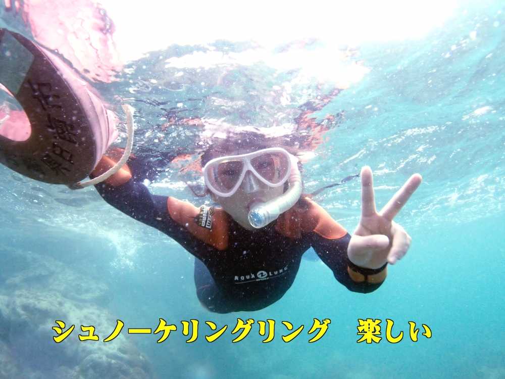 グリートダイバーズ_17