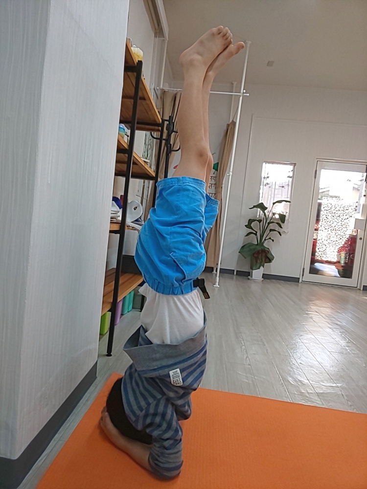Yoga Trinity   〜ヨガスタジオ〜_11