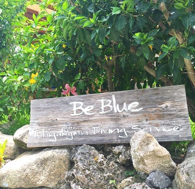 ビーブルー石垣島ダイビングサービス_4