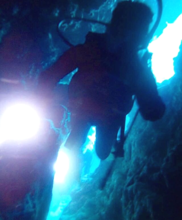 ビーブルー石垣島ダイビングサービス_2