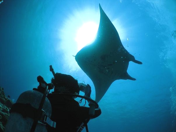 サザンダイブ石垣島_2