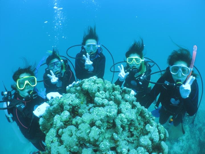 サザンダイブ石垣島_4