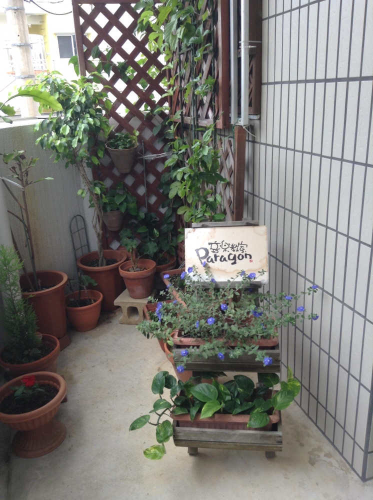 音楽教室paragon_1