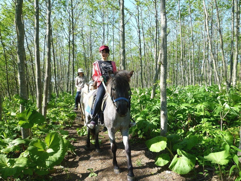 登別ホースパーク遊駿