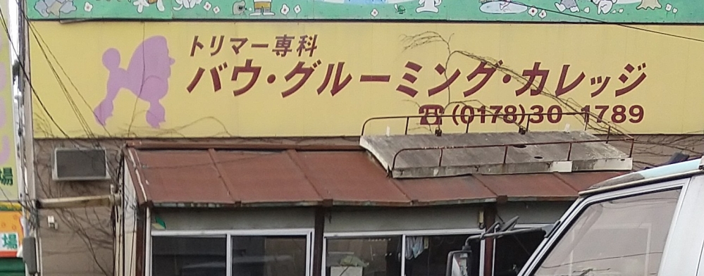 バウ・グルーミングカレッジ_1