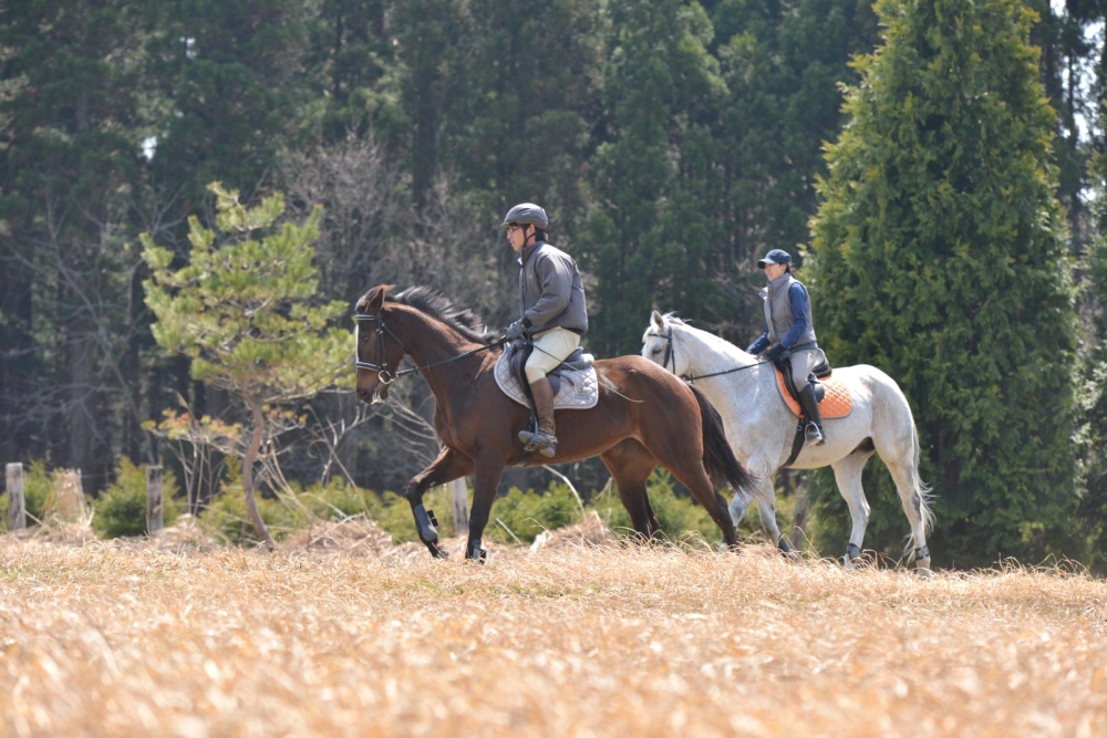 あきた乗馬クラブ_4