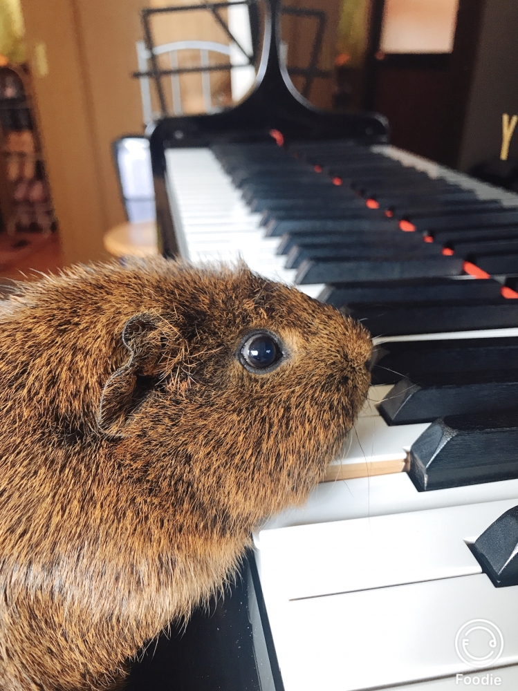 KAWABEピアノ教室