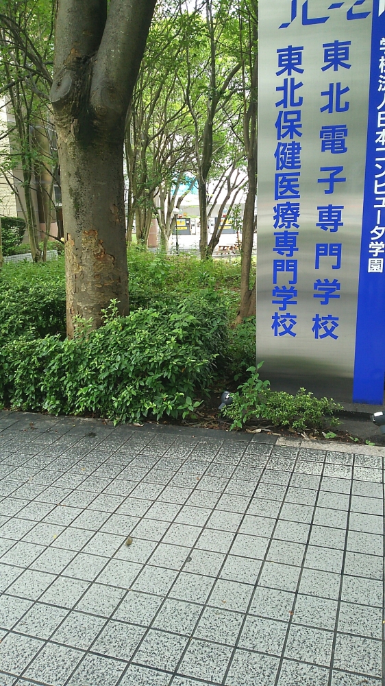 東北電子専門学校