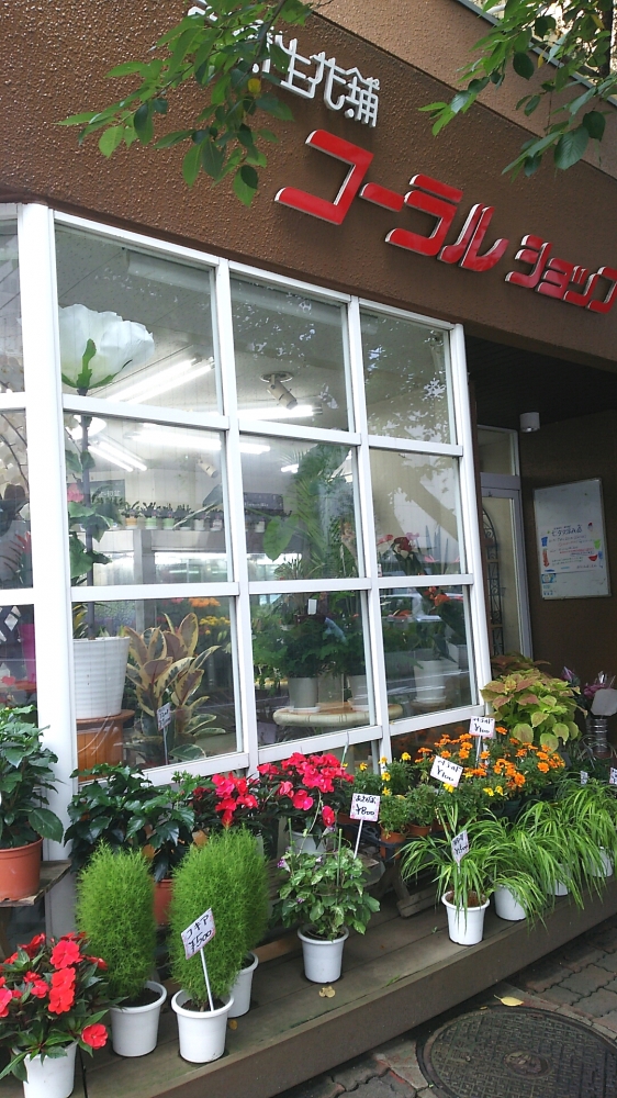 コーラルショップカルチャー教室