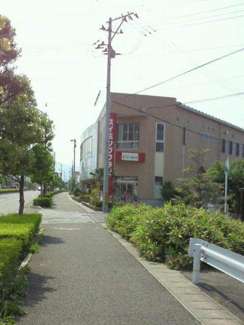 ジーラックスイミングクラブ