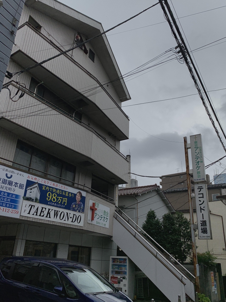 テコンドー荒川道場