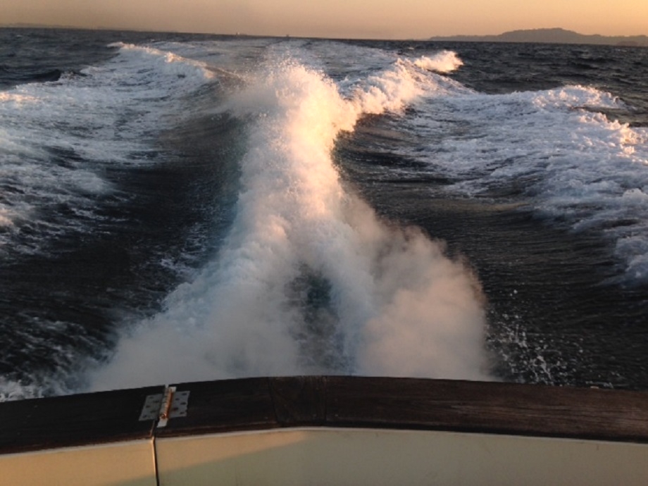 マリーナリトルオーシャン