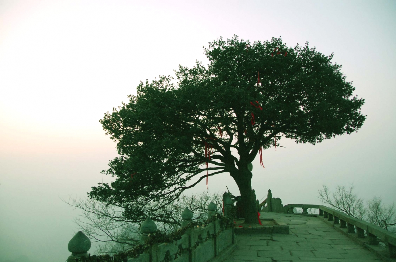 WIMA武当式太極拳・気功_1