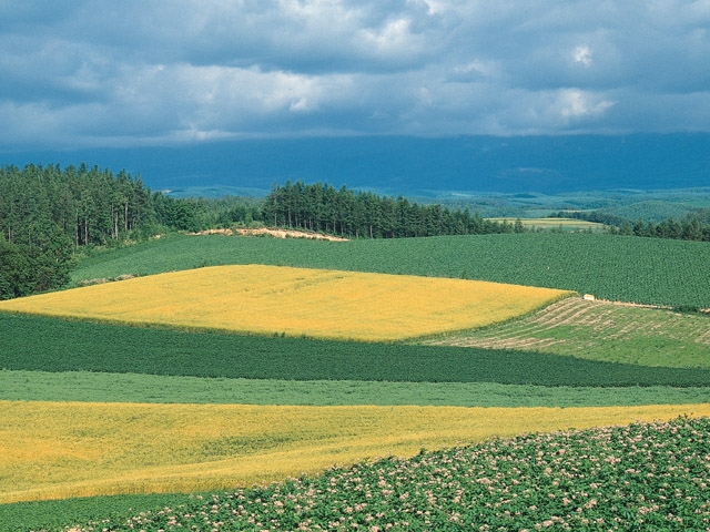 平賀美術倶楽部_2