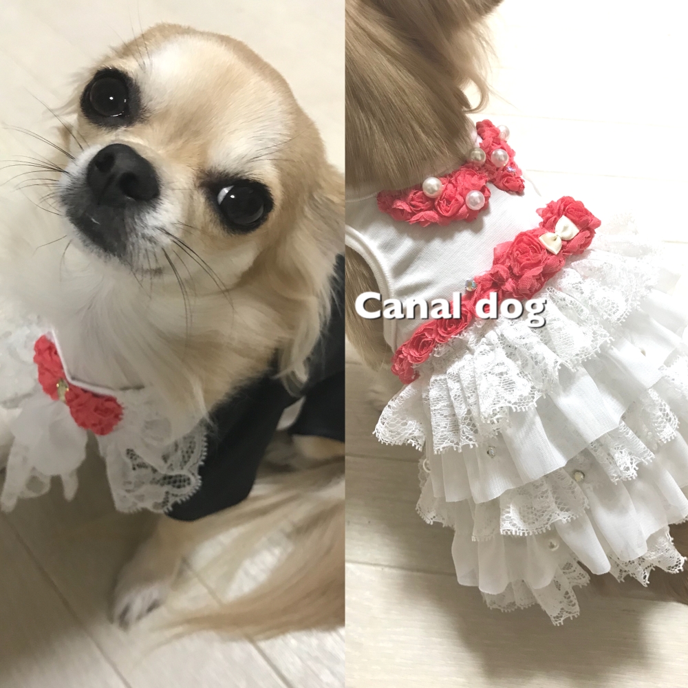 熱中症対策堂_4